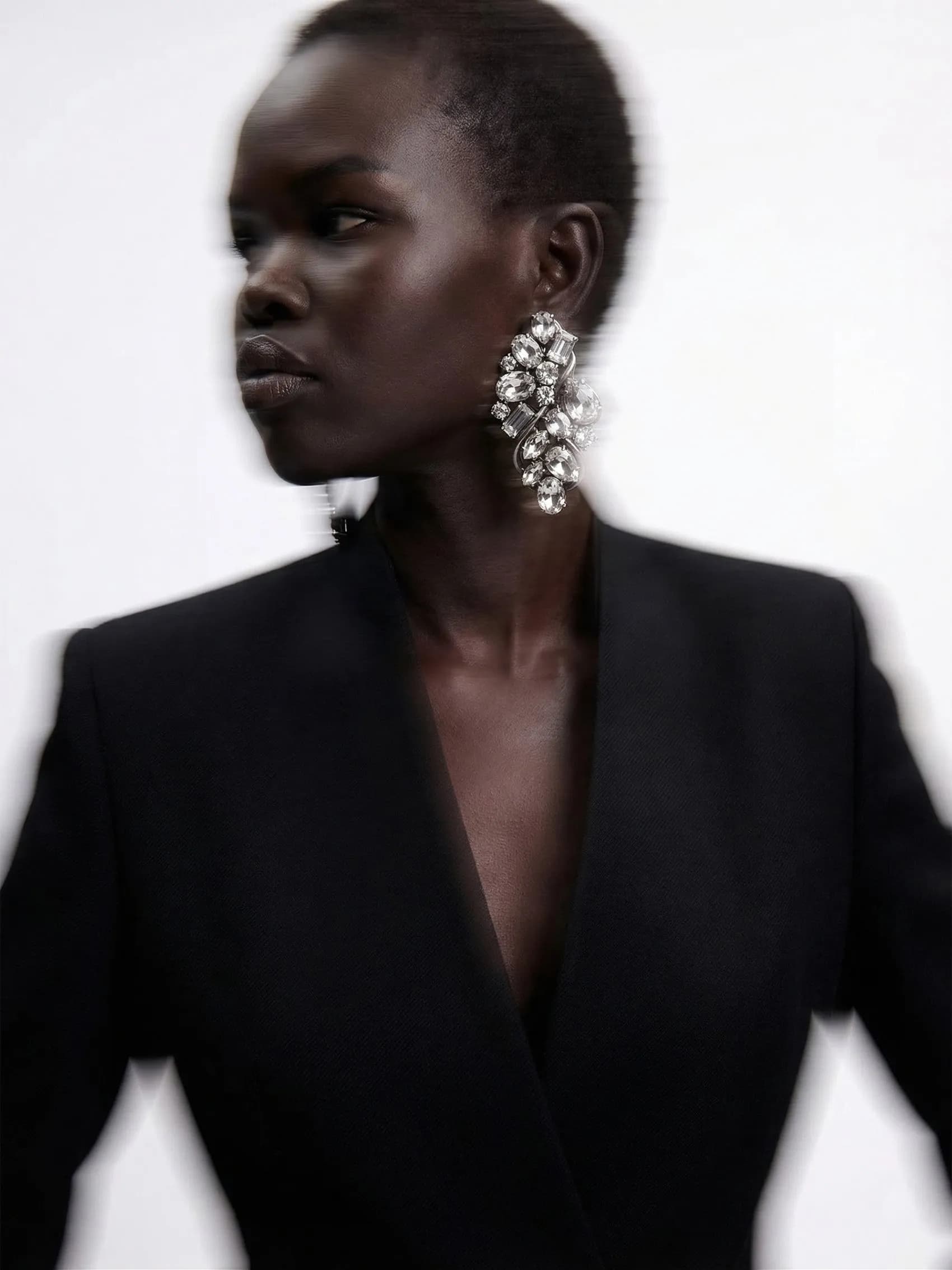 Crystal Vine Earrings In Metal